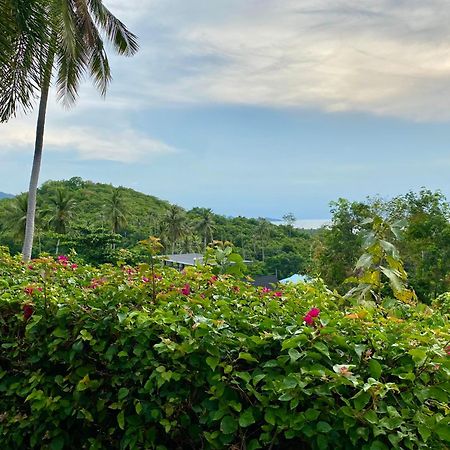 Ko Samui Seaview Pool Villa Seren With Car Laem Set Beach Extérieur photo