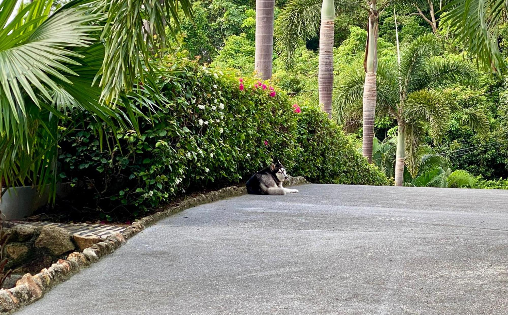 Ko Samui Seaview Pool Villa Seren With Car Laem Set Beach Extérieur photo